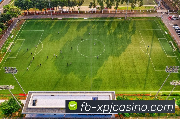 多媒体互动体验